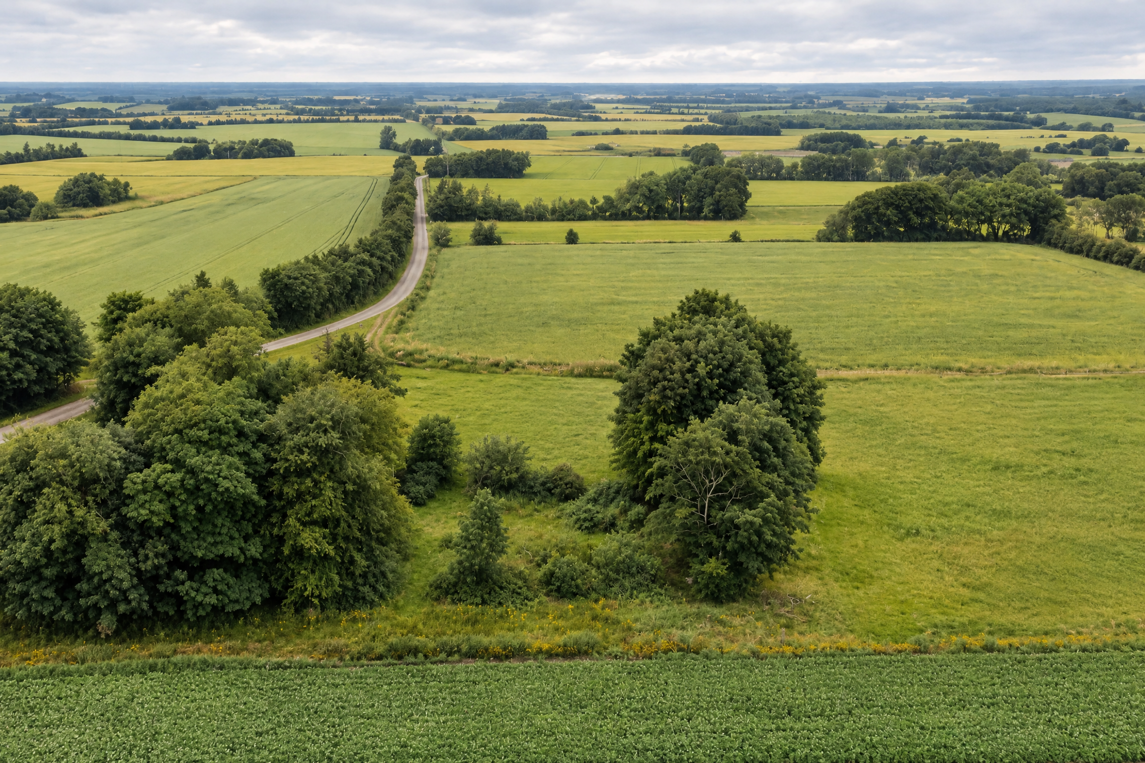 Geplanter Campingbereich an der Goldene Sporen Ranch